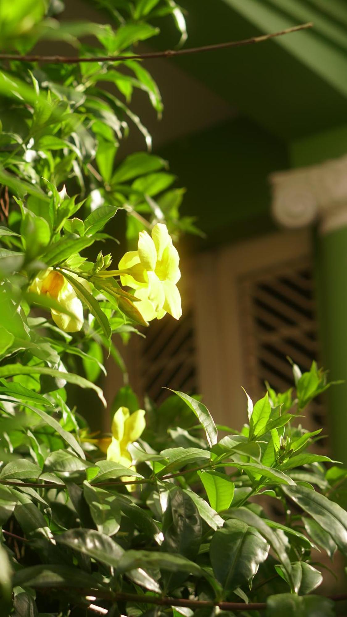 Poa Eco Hostel Porto Alegre Dış mekan fotoğraf