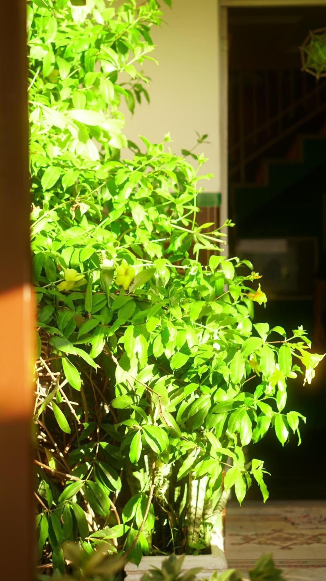 Poa Eco Hostel Porto Alegre Dış mekan fotoğraf