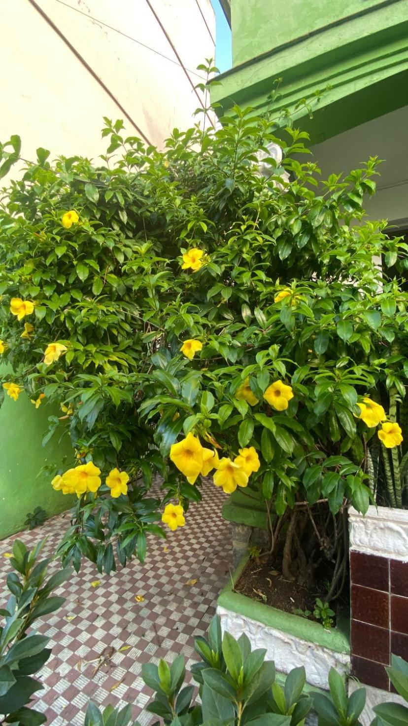 Poa Eco Hostel Porto Alegre Dış mekan fotoğraf