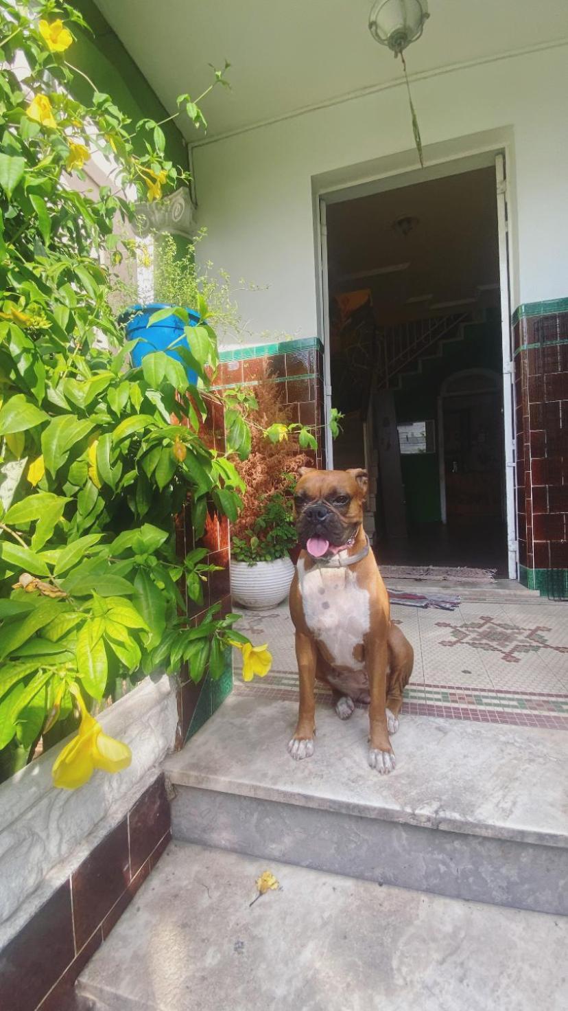 Poa Eco Hostel Porto Alegre Dış mekan fotoğraf